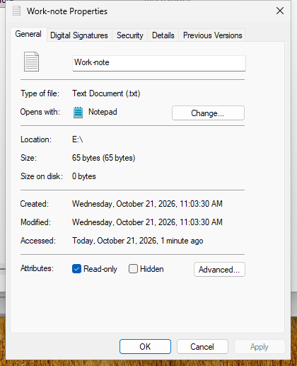 Complete Work-note Properties General tab for E:, with Text Document type, 65-byte size, Read-only checked and Hidden unchecked; a Security tab is available.