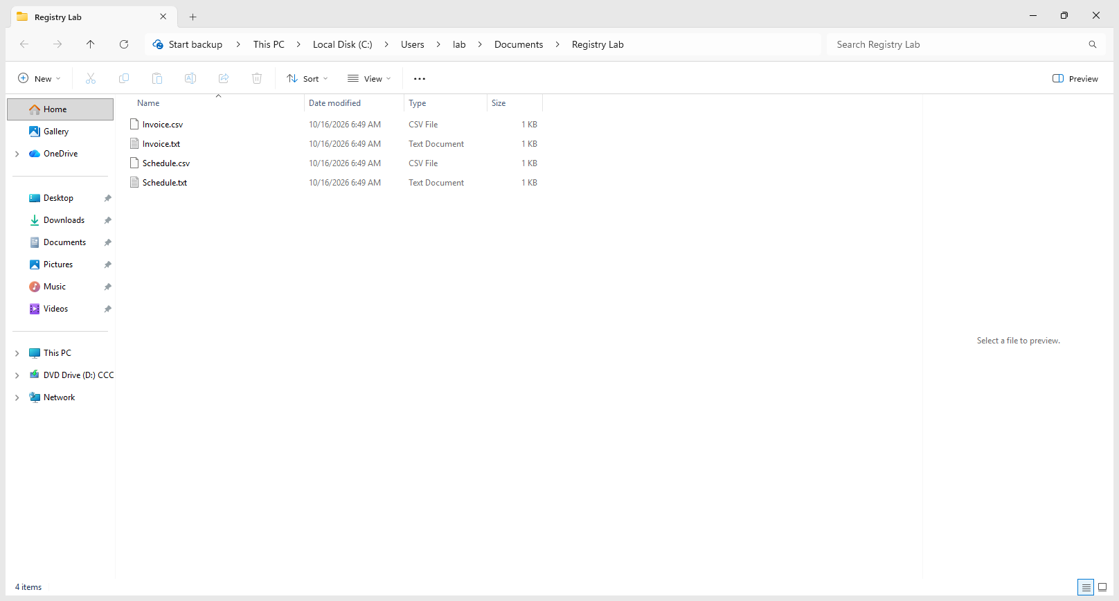 Complete Windows 11 File Explorer Registry Lab folder after enabling File name extensions. Invoice.txt, Invoice.csv, Schedule.txt and Schedule.csv are visible; four files remain.