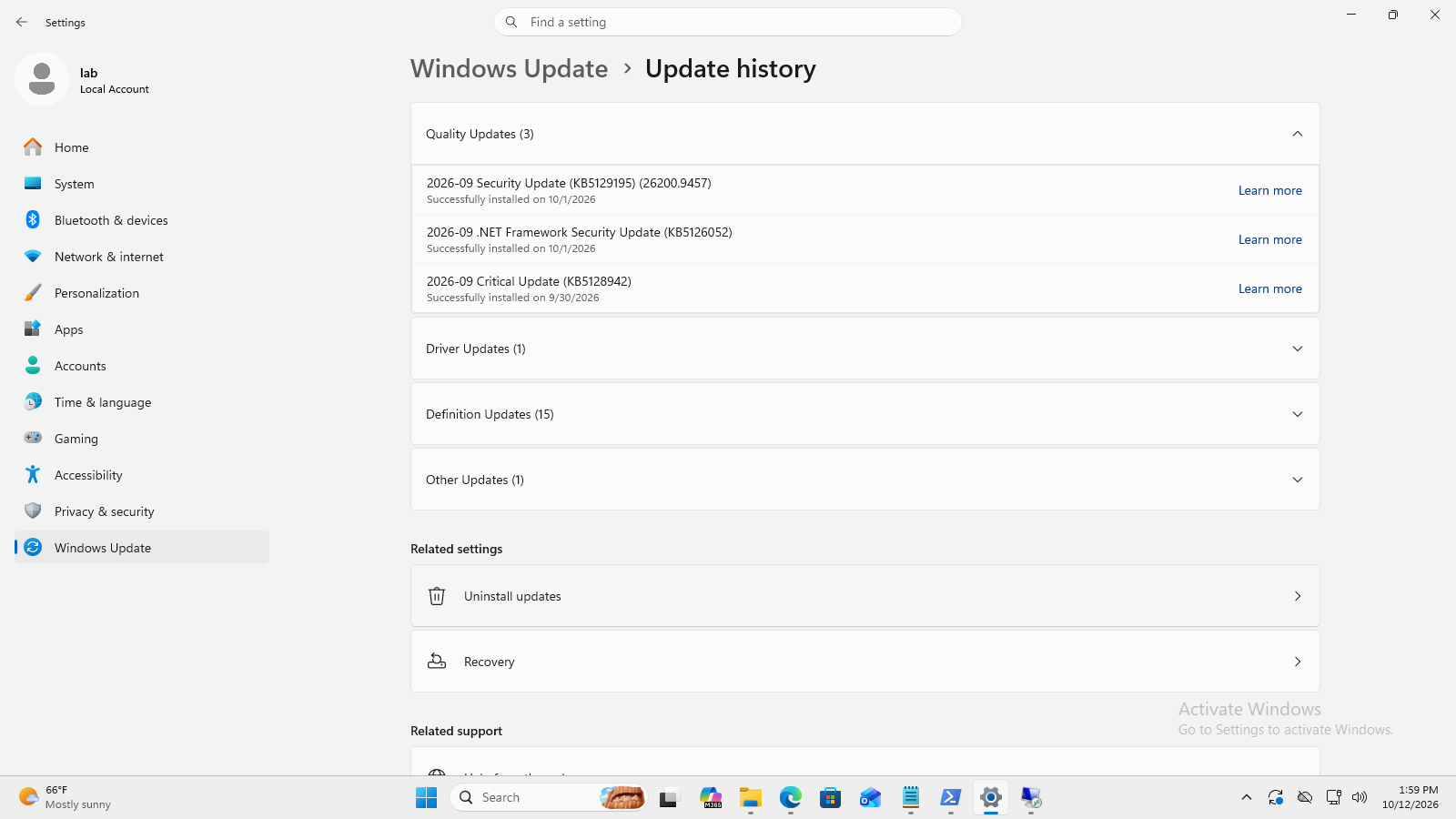 Update history lists quality update identifiers and successful installation dates, with driver and definition categories below.